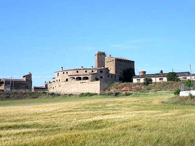 Castillo de L'Aranyó