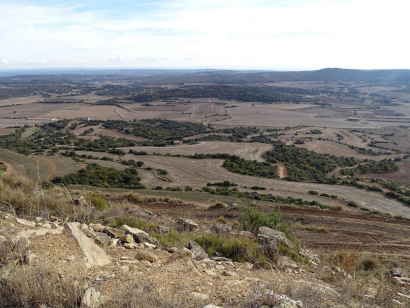 Torre del Cargol