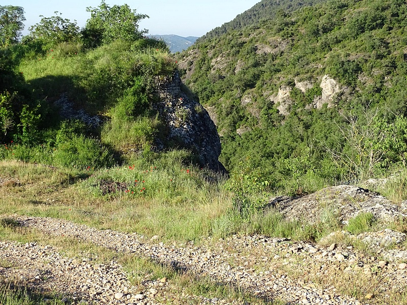 Castillo de Argentera