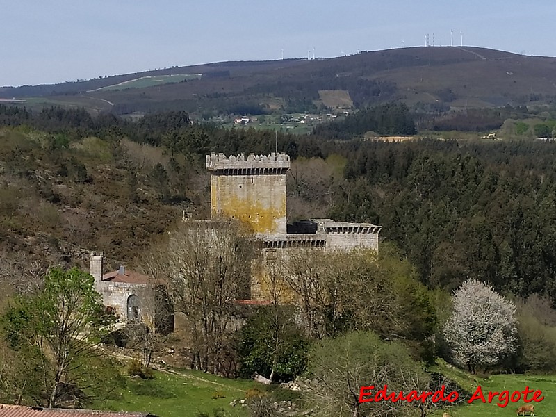 Castillo de Pambre