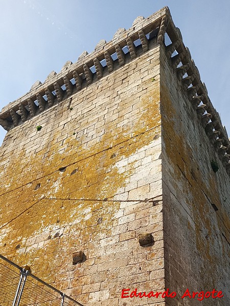 Castillo de Pambre