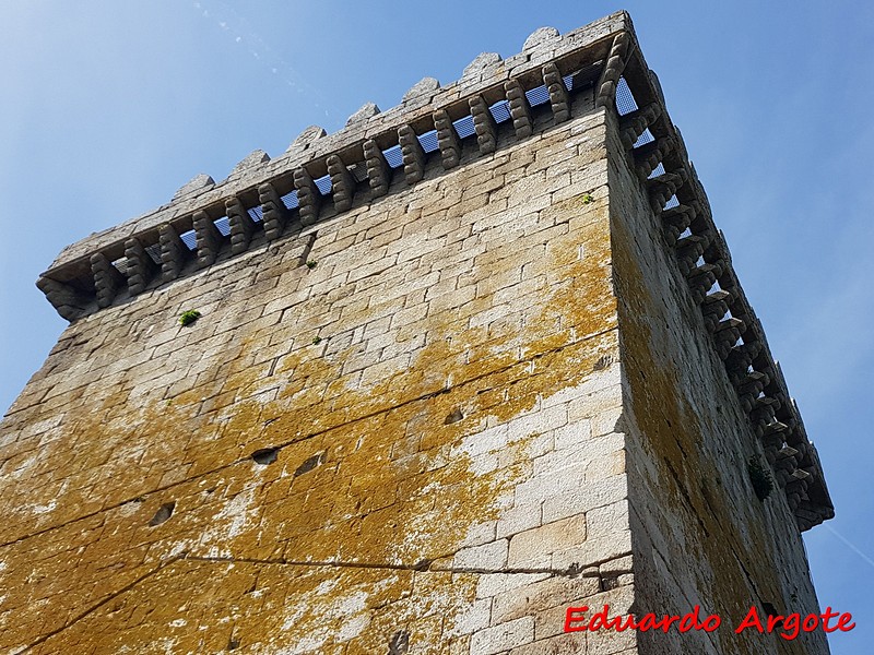 Castillo de Pambre