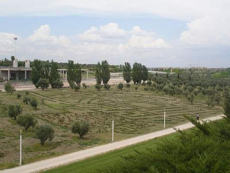 Parque Juan Carlos I