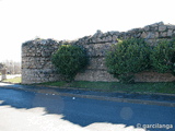 Castillo Viejo de Manzanares el Real