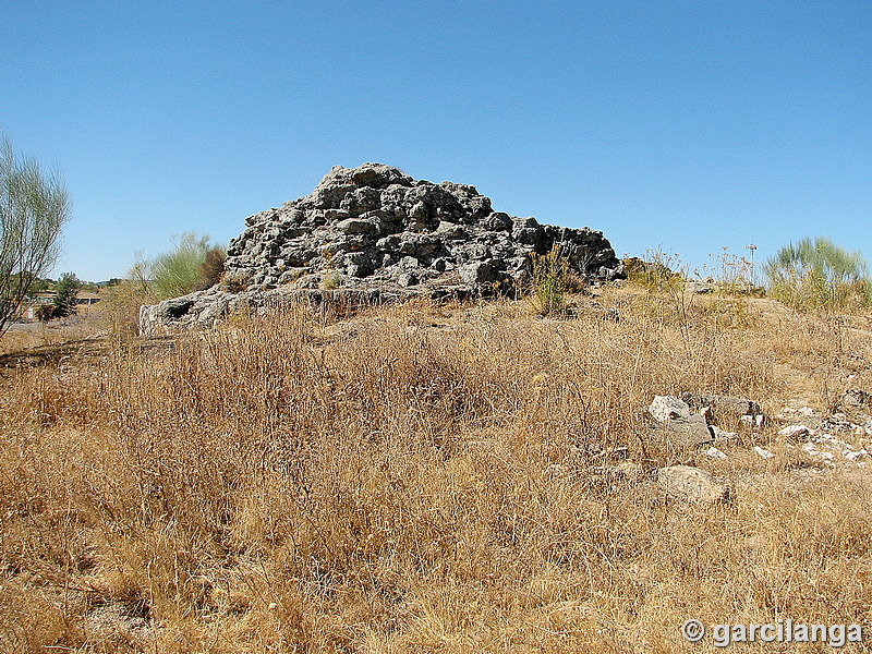 Castillo de Navas del Rey