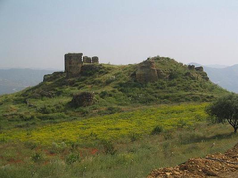 Castillo de Zalia