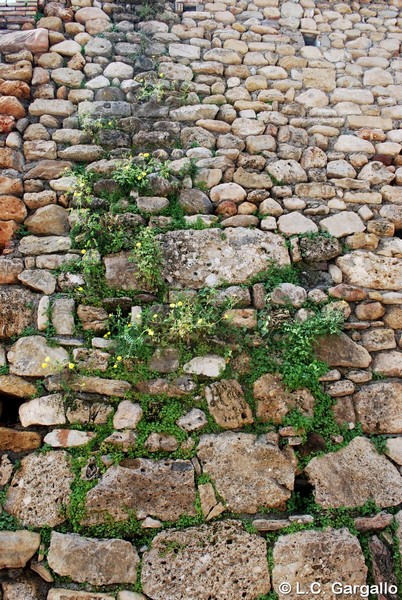 Muralla urbana de Marbella