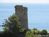 Torre del Pino