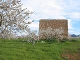 Torre del Moro