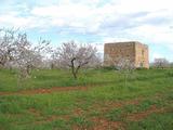 Torre del Moro