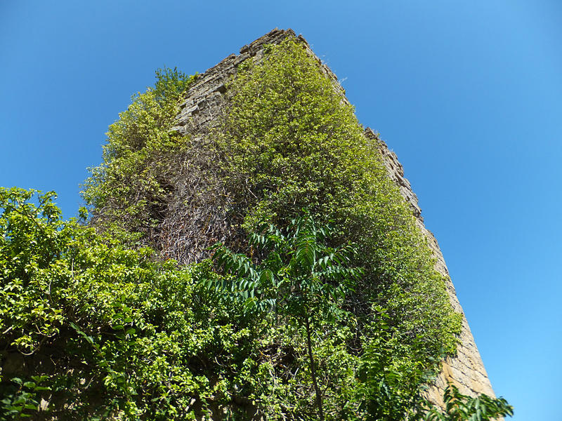 Torre de Mendinueta