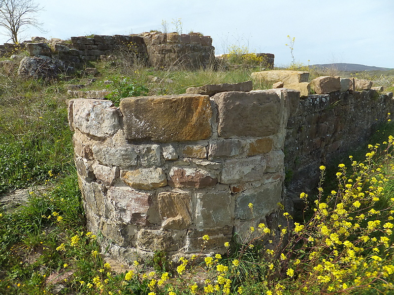 Castillo de Monreal