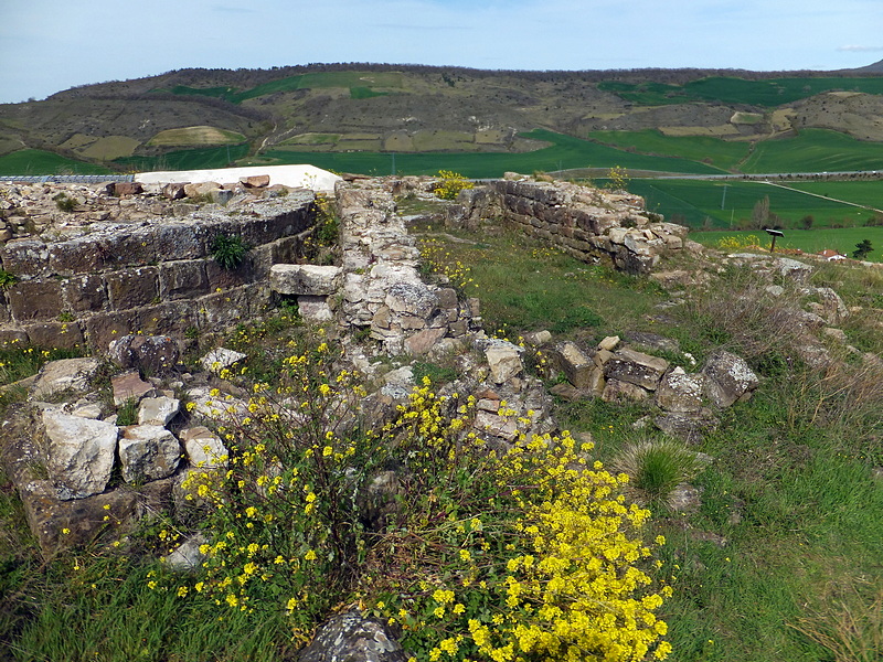 Castillo de Monreal