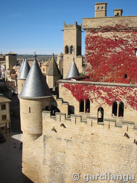 Castillo palacio de Olite