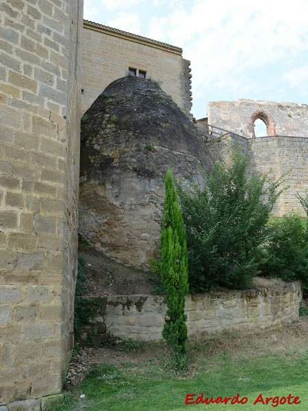 Castillo palacio de Olite