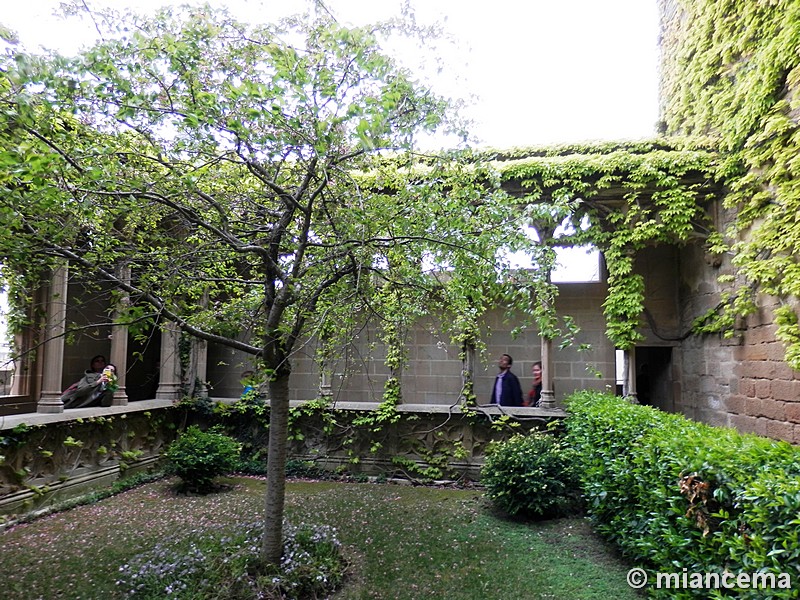 Castillo palacio de Olite