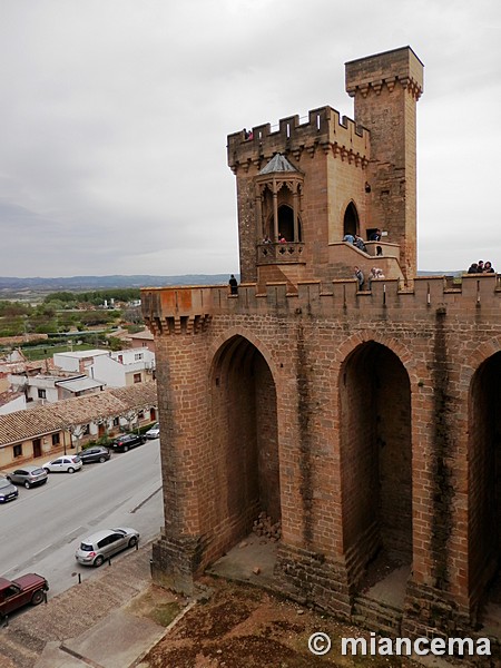 Castillo palacio de Olite