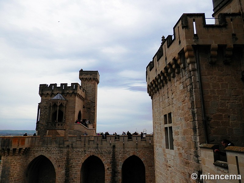 Castillo palacio de Olite