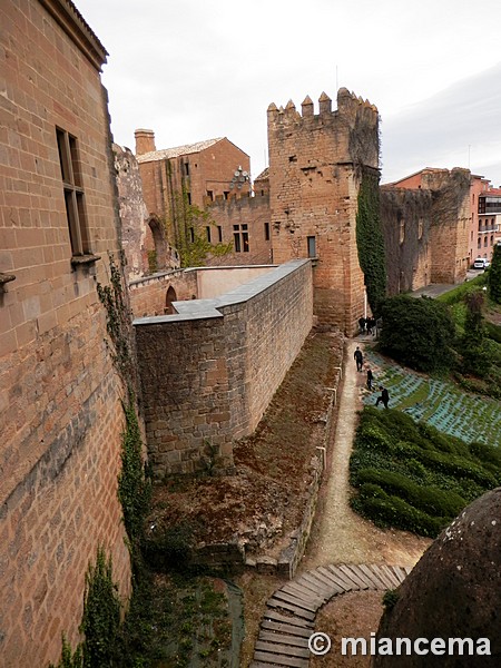 Castillo palacio de Olite