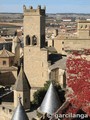 Castillo palacio de Olite