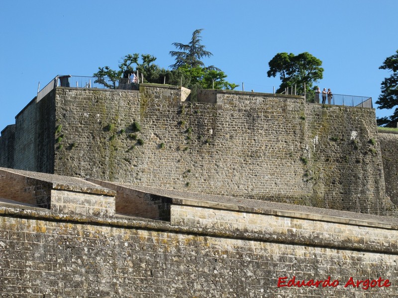 Muralla abaluartada de Pamplona