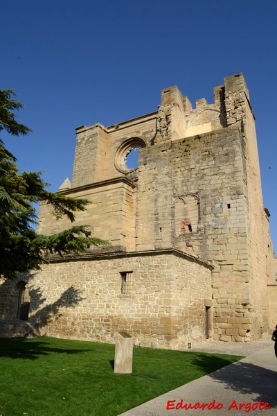 Ruinas de la Iglesia de San Pedro