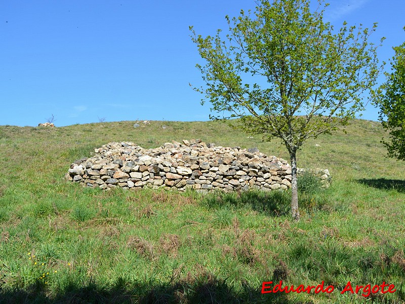 Castro de Castromao