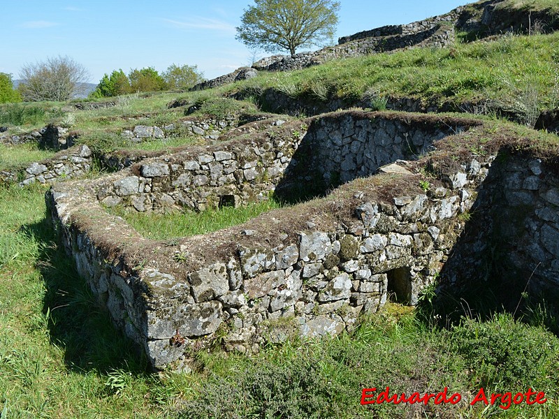 Castro de Castromao