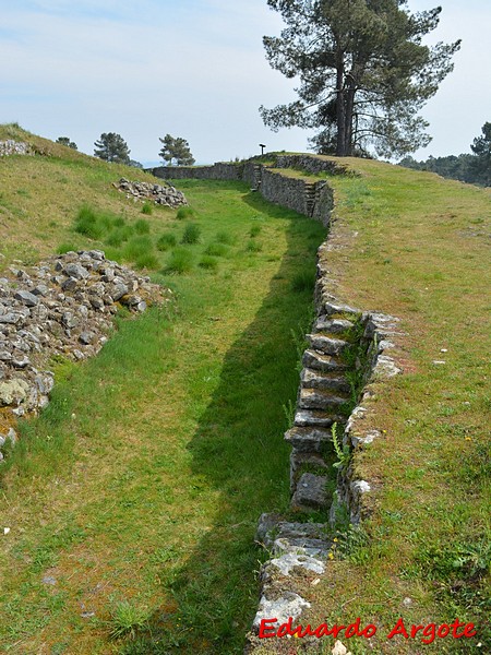 Castro de San Cibrao de Las