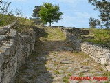 Castro de San Cibrao de Las