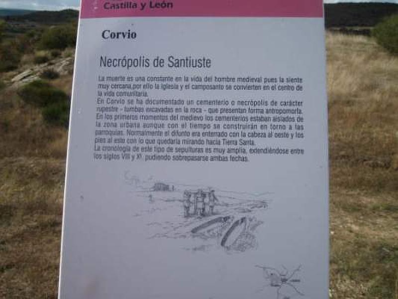 Necrópolis de Santiuste