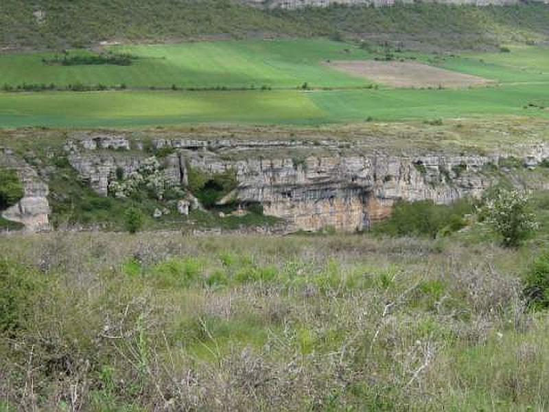 Castro de Monte Cilda