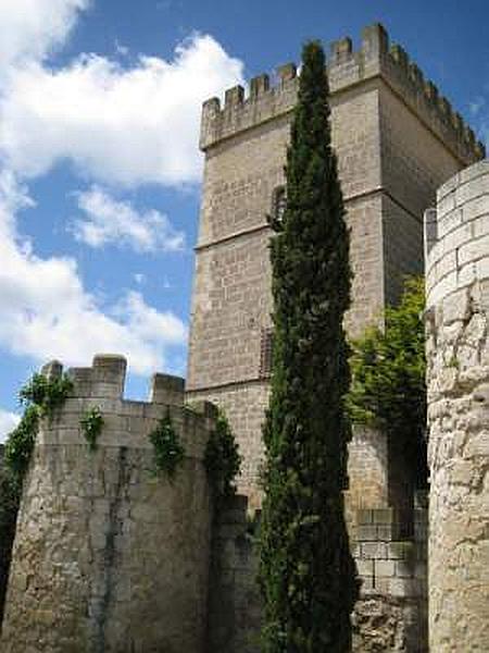 Castillo de Ampudia