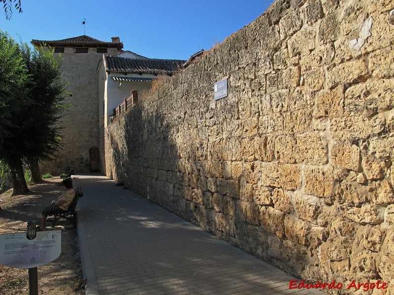 Muralla urbana de Dueñas