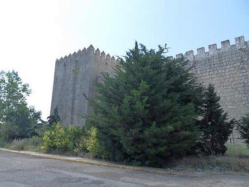 Castillo de Monzón de Campos