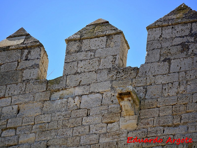 Castillo de Monzón de Campos