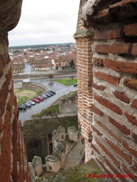 Castillo de Coca