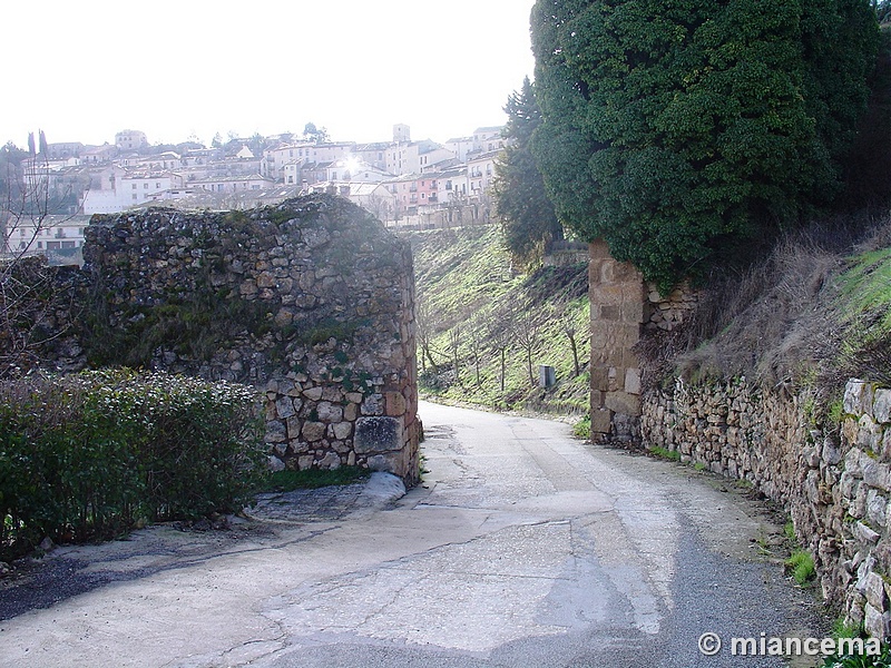 Muralla urbana de Sepúlveda