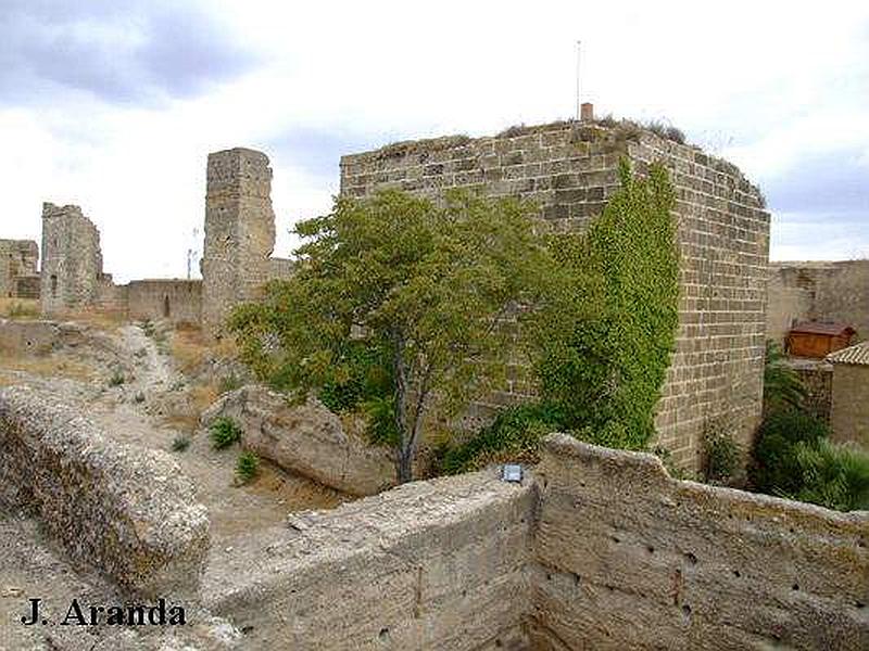 Alcázar del Rey don Pedro