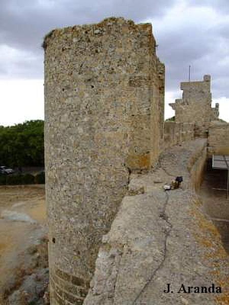 Alcázar del Rey don Pedro