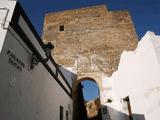 Puerta del Tiro de Santa María