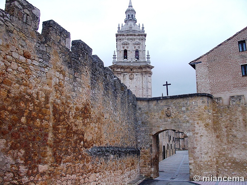 Muralla urbana de Burgo de Osma