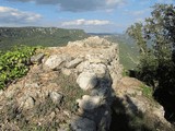 Castillo de l'Albiol