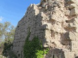 Castillo de l'Albiol