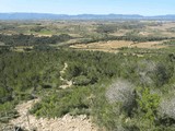 Torre de Montferri