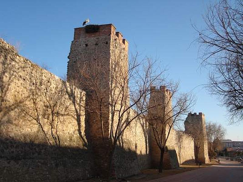 Muralla urbana de Olmedo