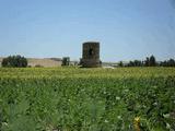 Castillo de Foncastín