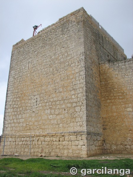 Castillo de Villavellid