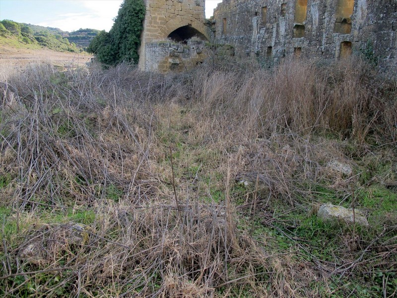 Castillo de Yéquera