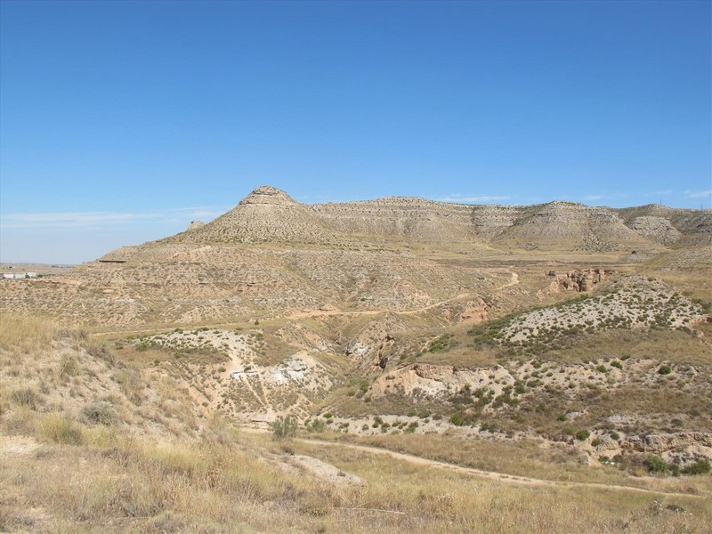 Castillo de María de Huerva